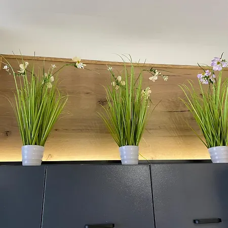 Appartamento жаклин к.к. хармони хилс Rogachevo