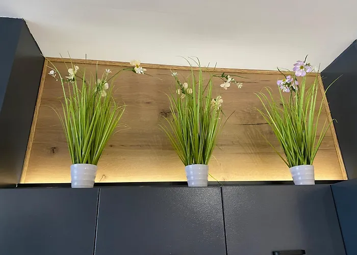 Apartment жаклин к.к. хармони хилс Rogachevo